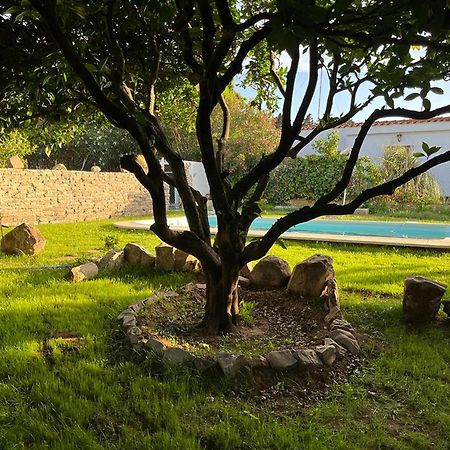 Casa Rural Con Piscina Y Jacuzzi En Conil De La Frontera Villa Cádiz Exterior foto