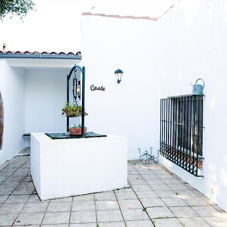 Casa Rural Con Piscina Y Jacuzzi En Conil De La Frontera Villa Cádiz Exterior foto