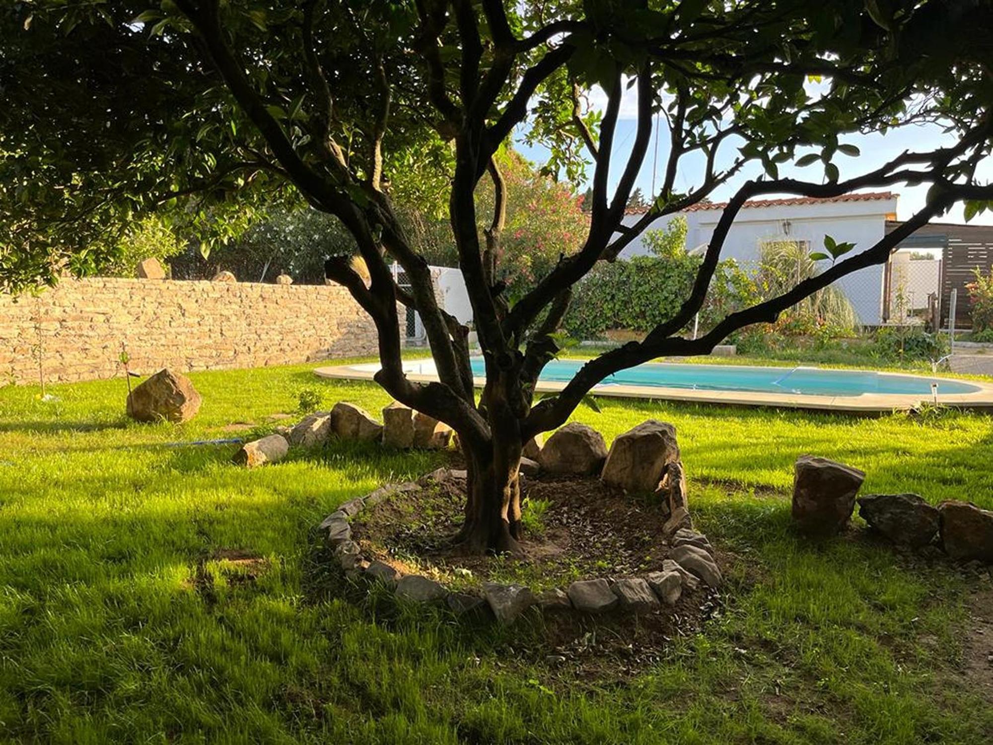 Casa Rural Con Piscina Y Jacuzzi En Conil De La Frontera Villa Cádiz Exterior foto