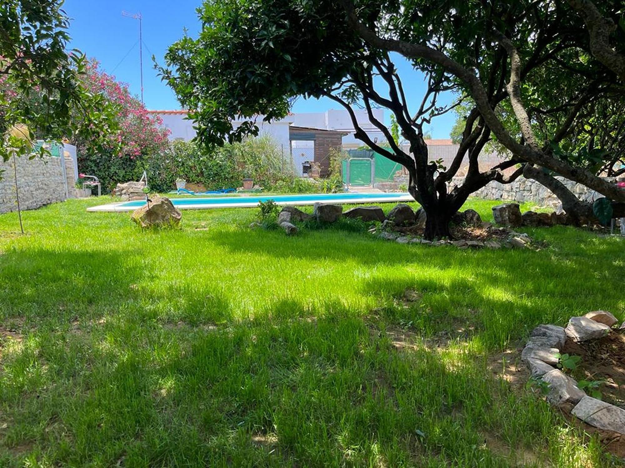 Casa Rural Con Piscina Y Jacuzzi En Conil De La Frontera Villa Cádiz Exterior foto