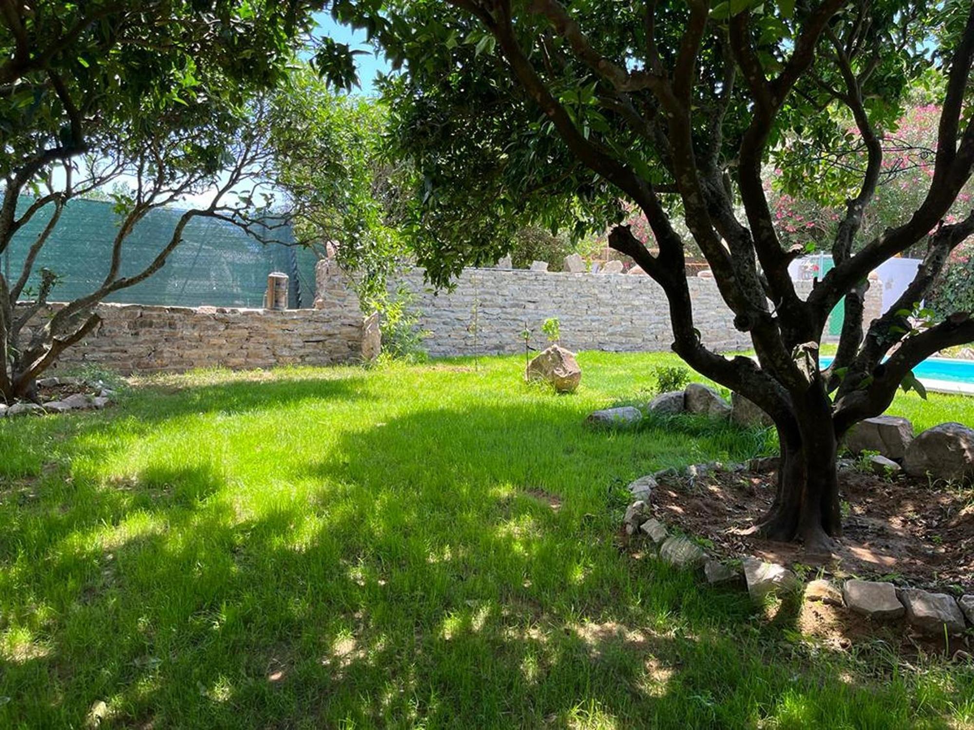 Casa Rural Con Piscina Y Jacuzzi En Conil De La Frontera Villa Cádiz Exterior foto