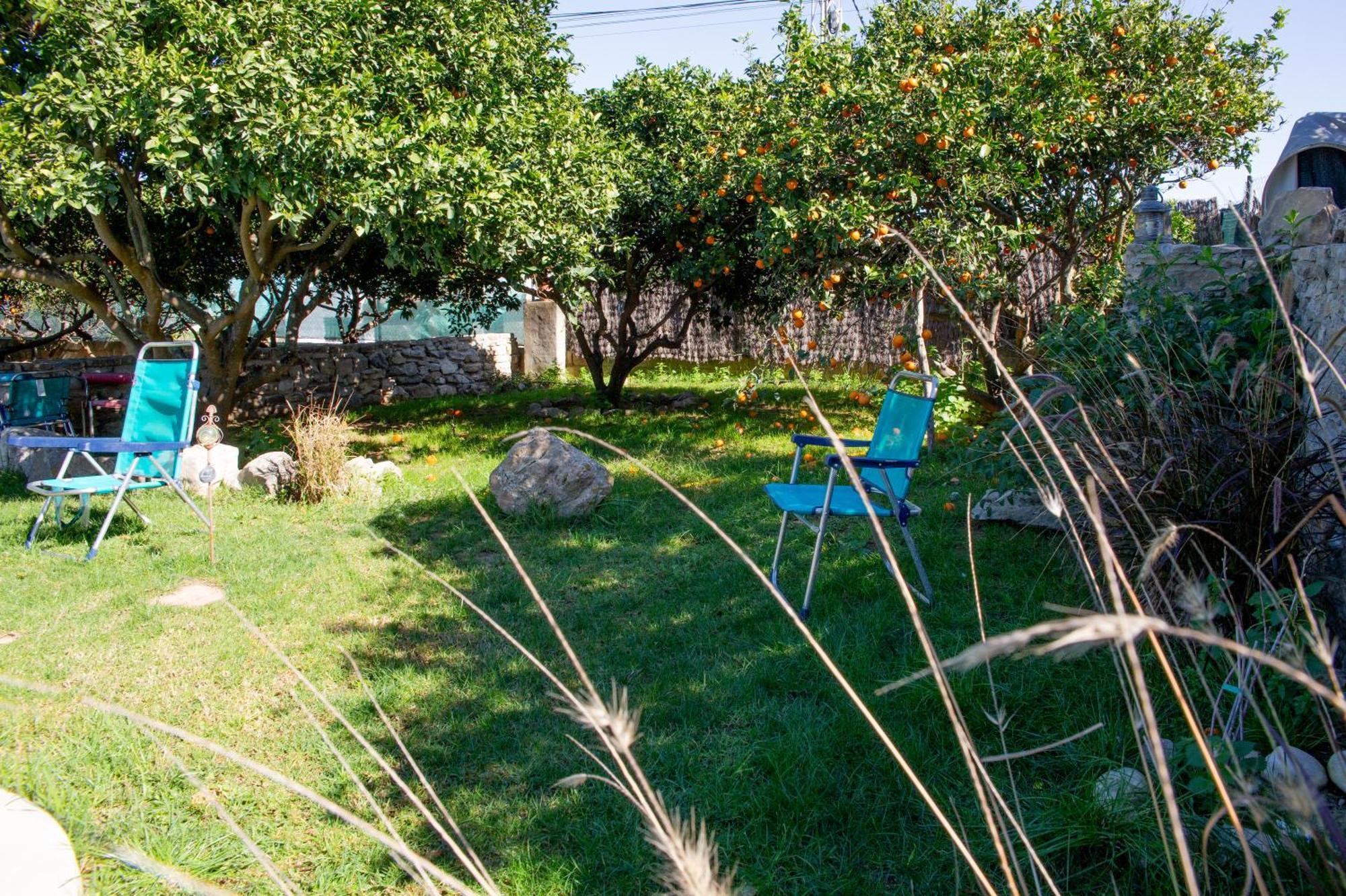 Casa Rural Con Piscina Y Jacuzzi En Conil De La Frontera Villa Cádiz Exterior foto