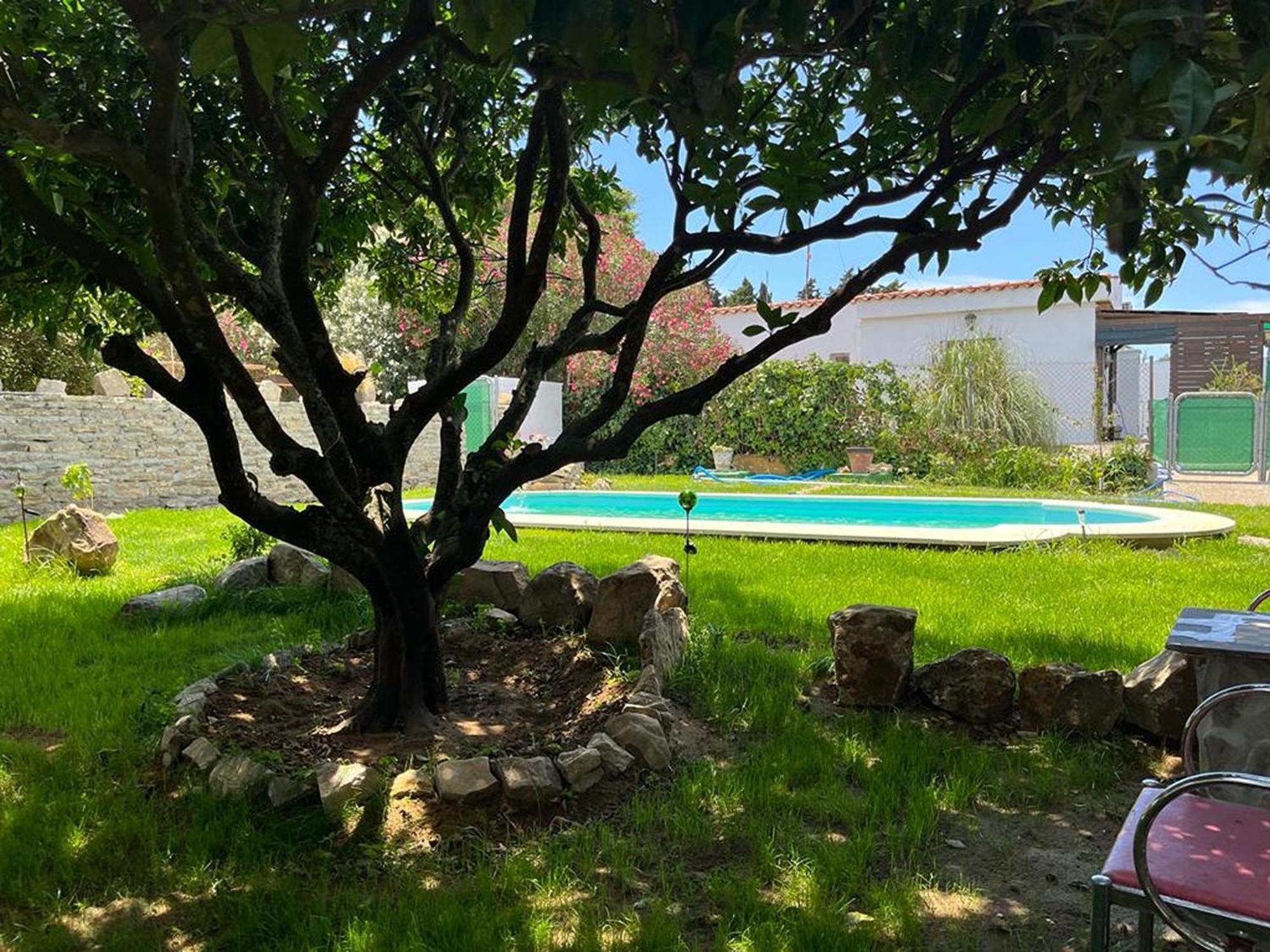 Casa Rural Con Piscina Y Jacuzzi En Conil De La Frontera Villa Cádiz Exterior foto